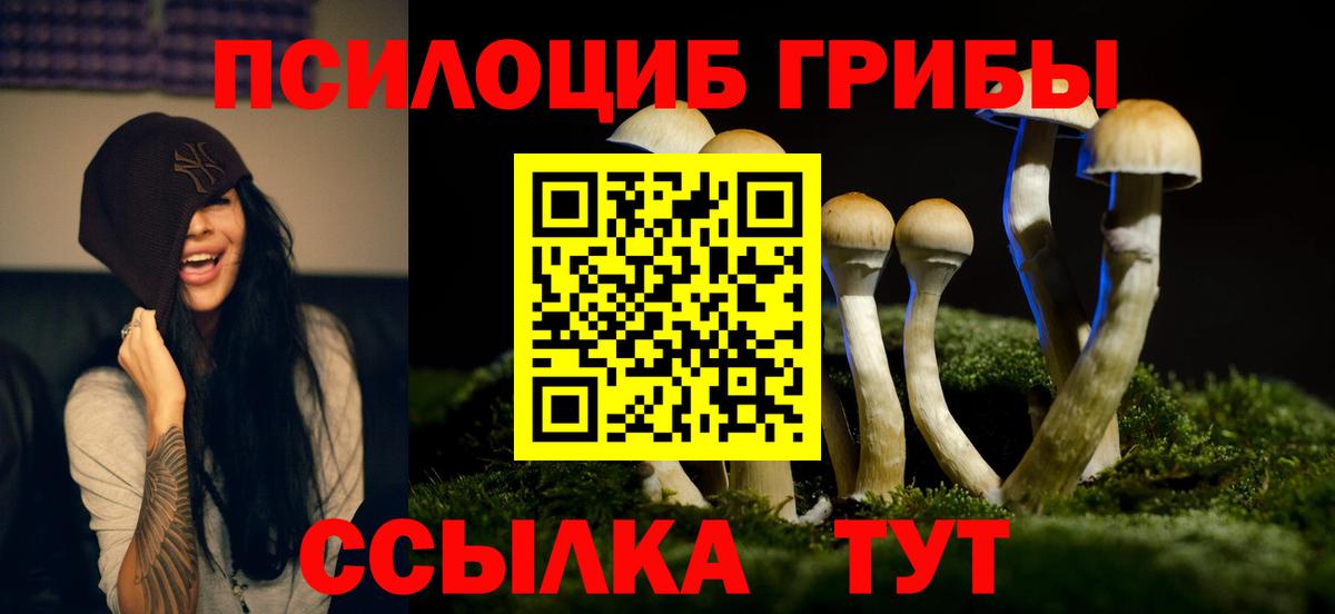 Вичуга  Псилоцибиновые грибы Psilocybe  Вход с VPN 